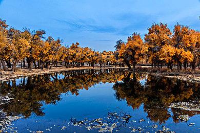 动视给NBA球星闭门展示2023年的《使命召唤》